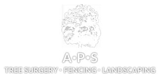 aps logo6